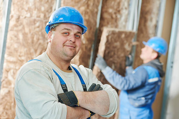 Best Insulation Installation Services in Madelia, MN