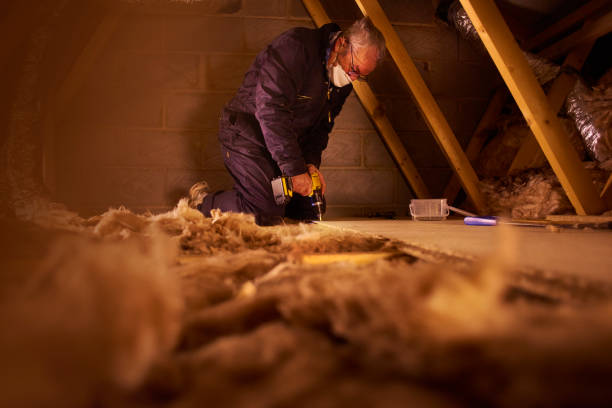 Best Commercial Insulation in Madelia, MN